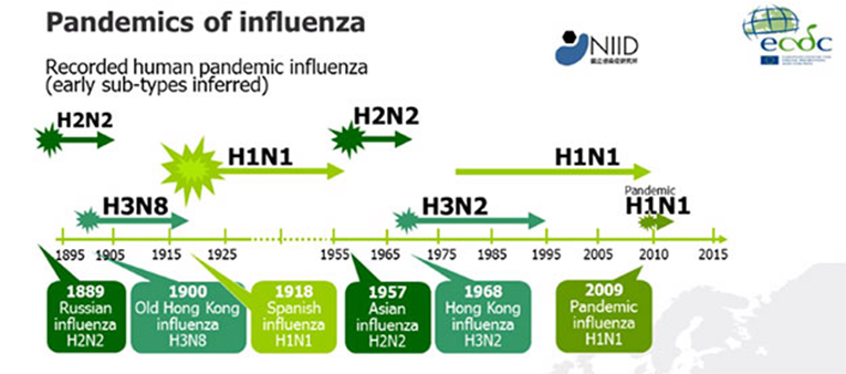 Što je smrtonosnije, koronavirus ili gripa?