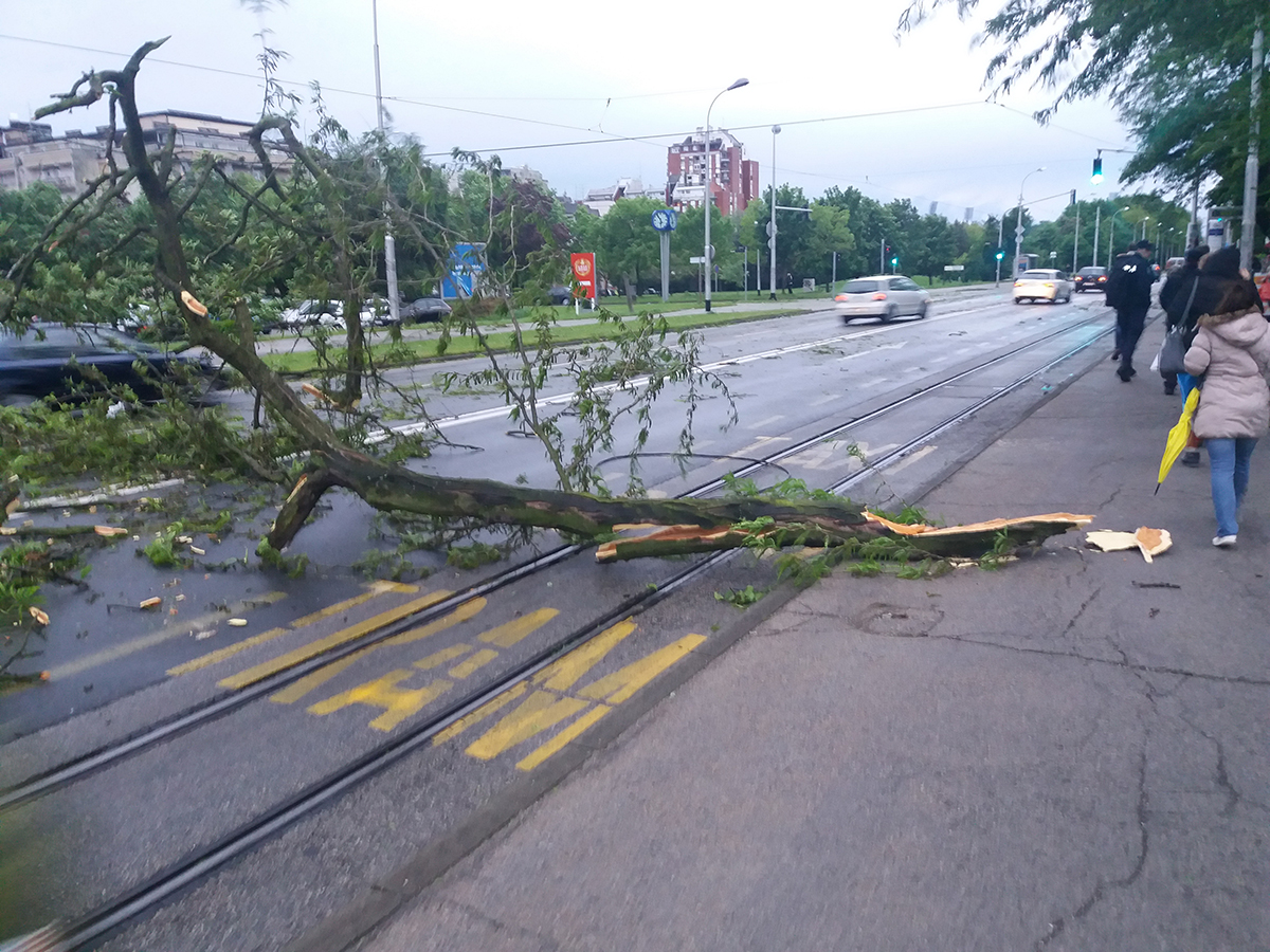 Olujni vjetar ruši stabla i čupa krovove po Zagrebu, šteta je ogromna